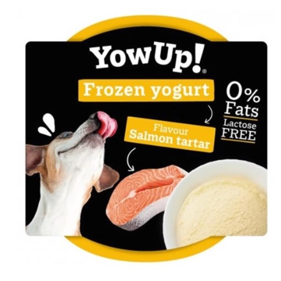 Picture of YowUp! Ice Cream Yogurt SALMON TARTAR
